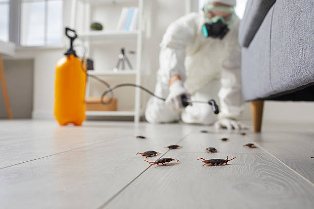 Commercial Kitchen Cockroach Control in Home